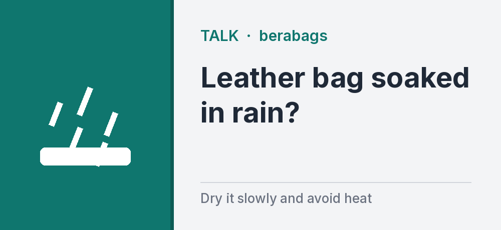 Leather Handbag Soaked in Rain? What to Do Next