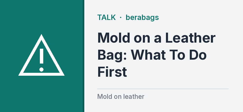 Mold on a Leather Bag: What To Do First